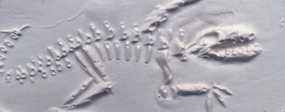 NEDEĽNÝ KREATÍVNY ATELIÉR / DINO STOPA